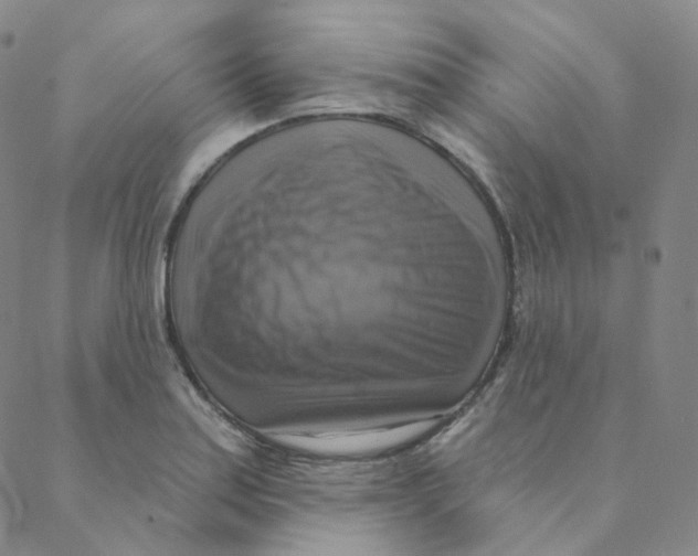 X0000088391179200706191325