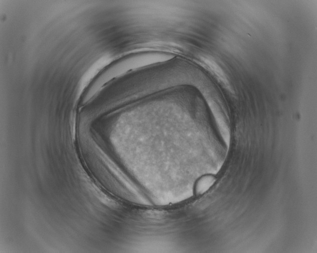 X0000088391180200706191325