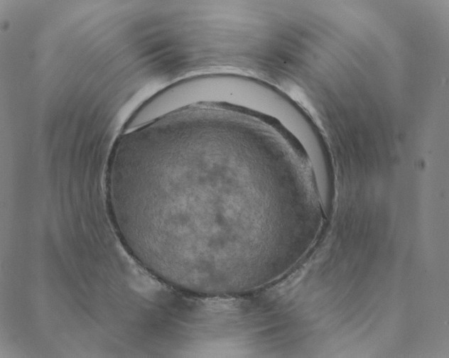 X0000088391181200706191325