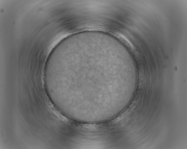 X0000088391182200706191325