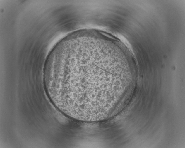 X0000088391183200706191325