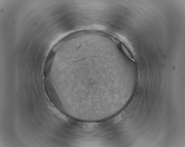 X0000088391184200706191325