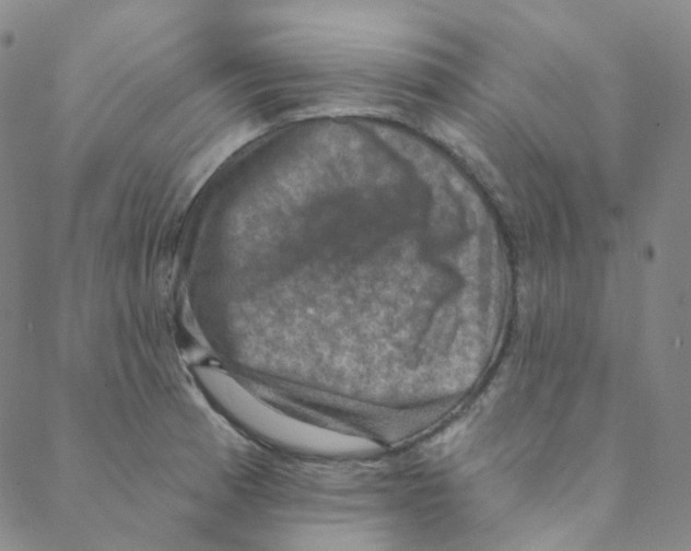 X0000088391185200706191325