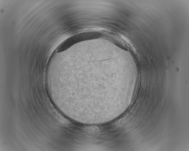 X0000088391186200706191325