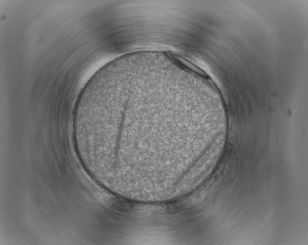 X0000088391187200706191325