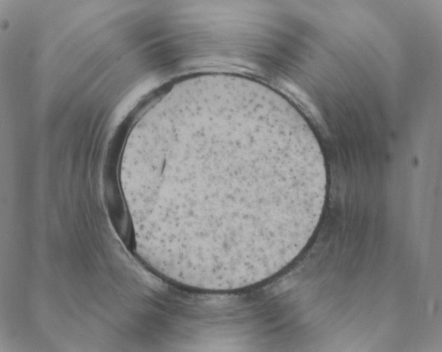 X0000088391188200706191325