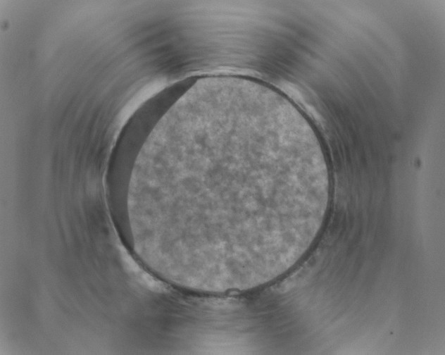 X0000088391189200706191325