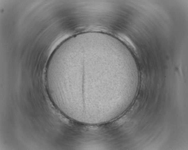 X0000088391190200706191325