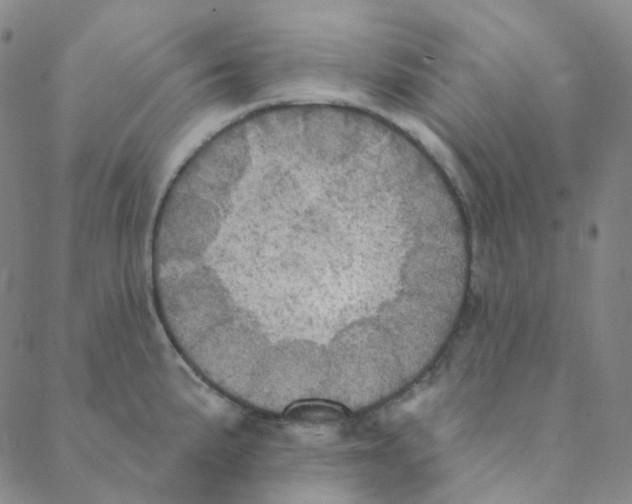 X0000088391191200706191325