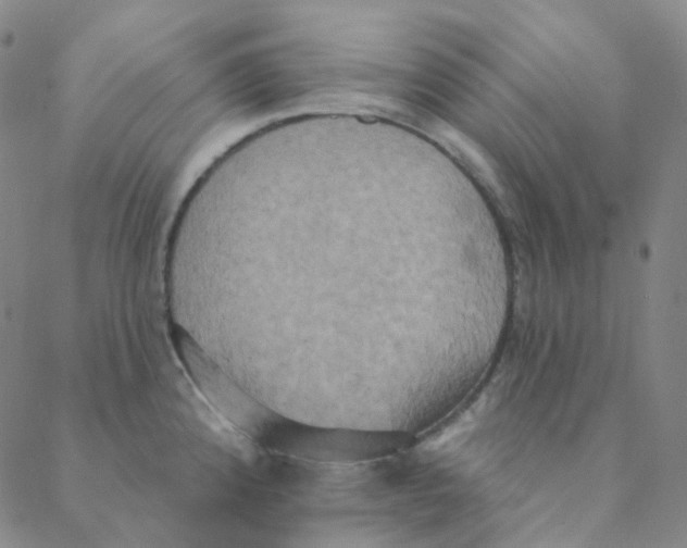 X0000088391192200706191325