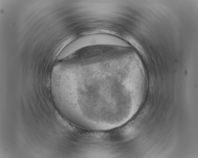 X0000088391193200706191325