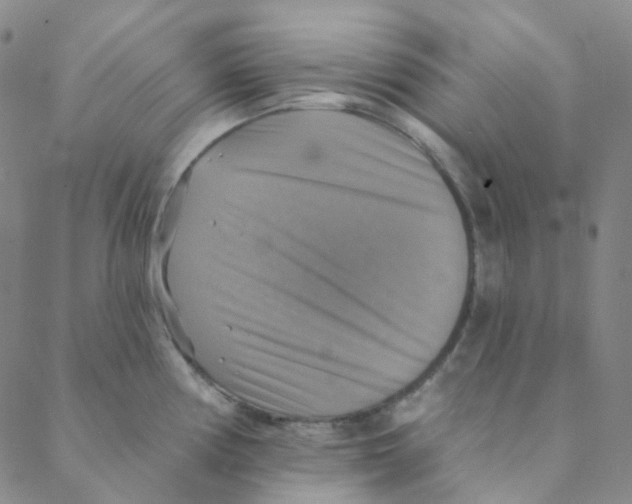 X0000088391194200706191325