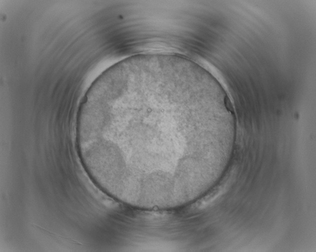 X0000088391195200706191325