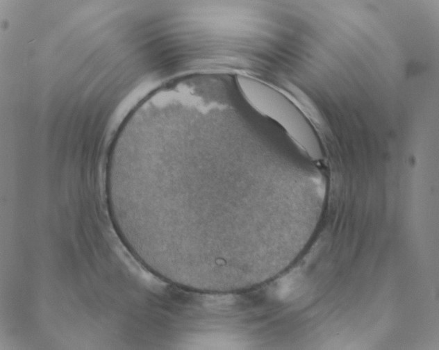 X0000088391196200706191325