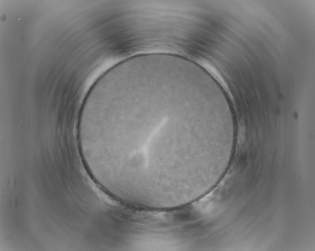 X0000088391197200706191325