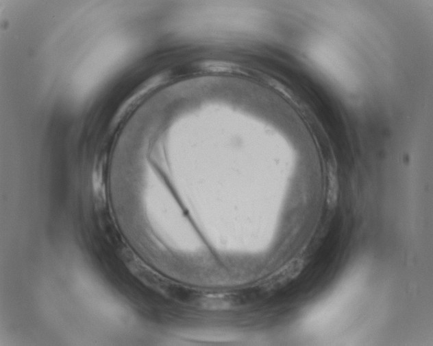 X0000088391198200706191325