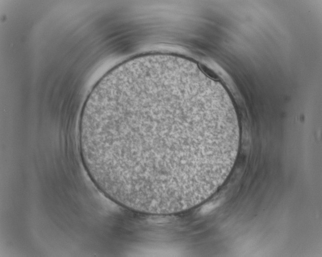 X0000088391199200706191325