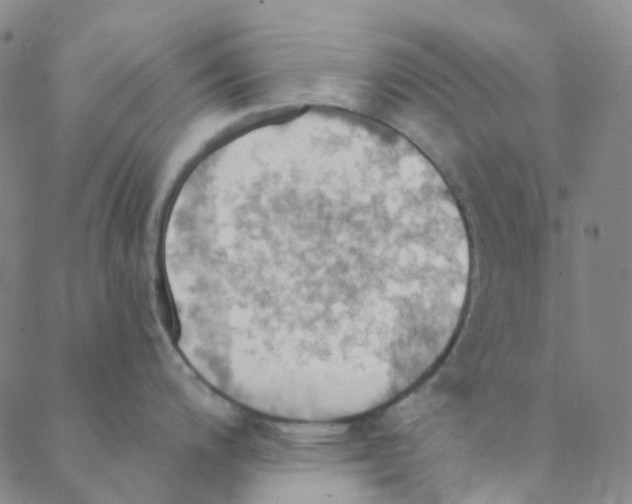 X0000088391200200706191325