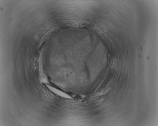 X0000088391202200706191324