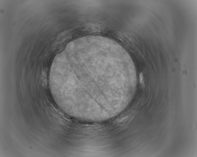 X0000088391203200706191324