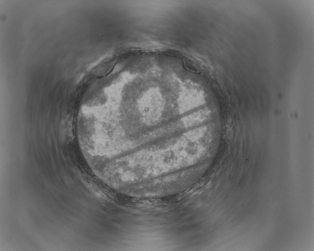 X0000088391205200706191324