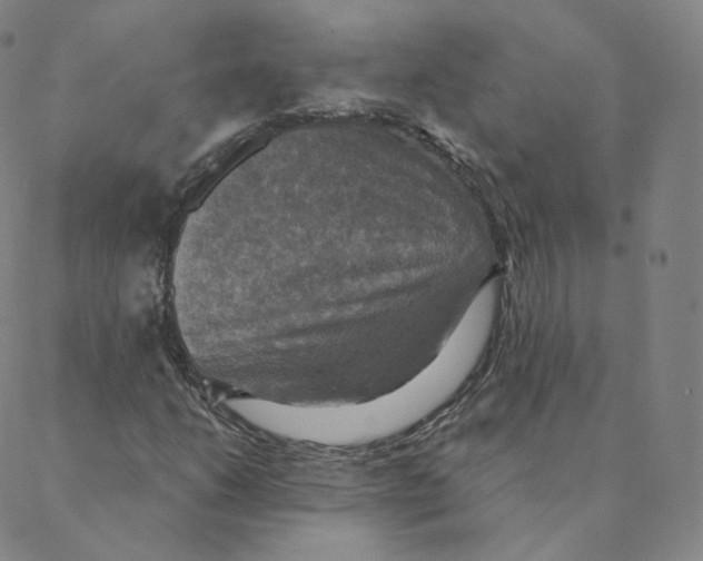 X0000088391206200706191324