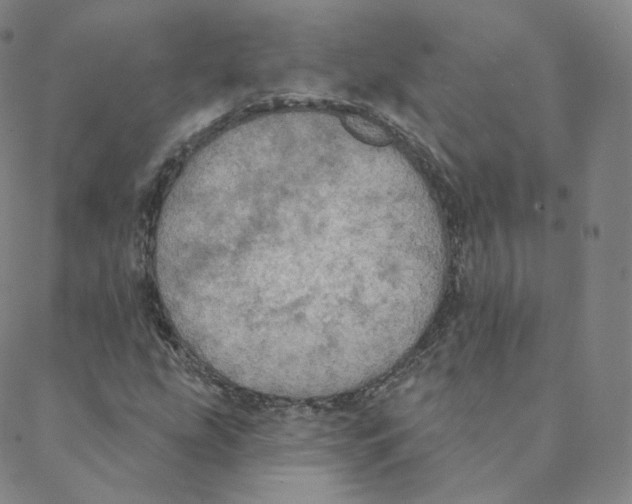 X0000088391207200706191324