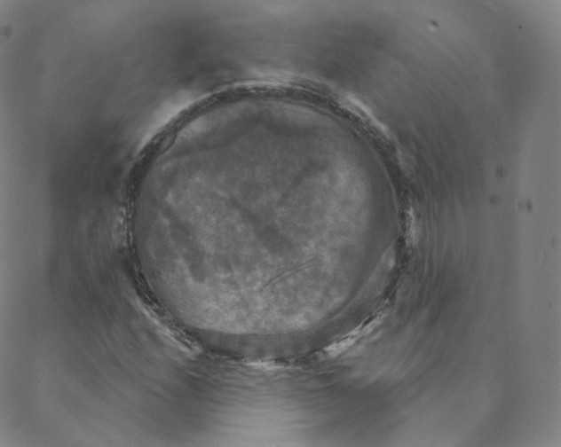 X0000088391208200706191324