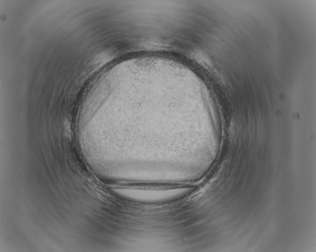 X0000088391209200706191324