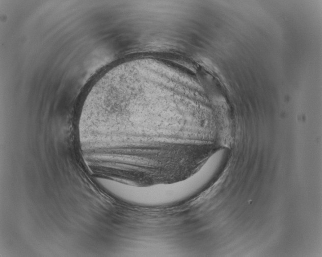 X0000088391210200706191324