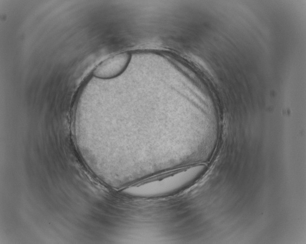 X0000088391212200706191324