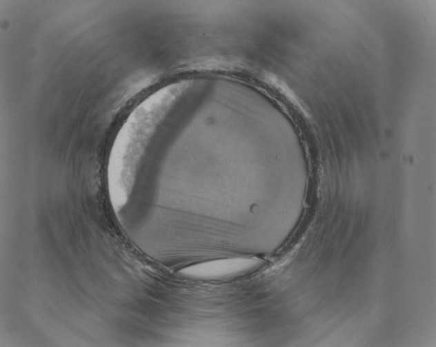 X0000088391213200706191324