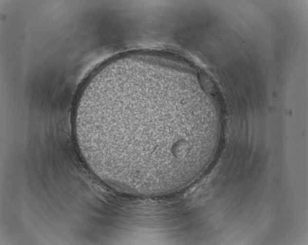 X0000088391214200706191324