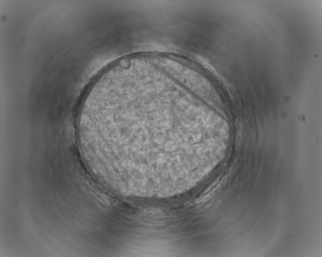 X0000088391215200706191324