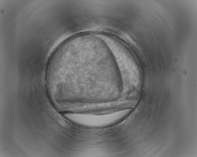 X0000088391216200706191324