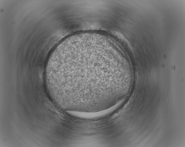 X0000088391217200706191324