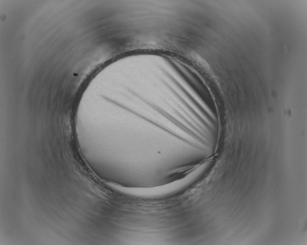 X0000088391218200706191324