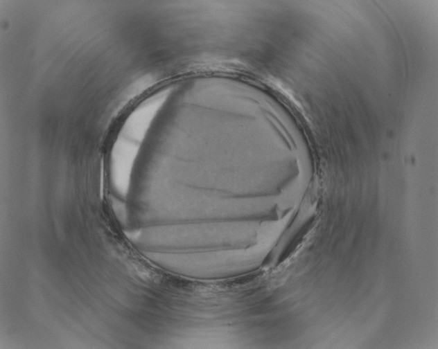 X0000088391219200706191324