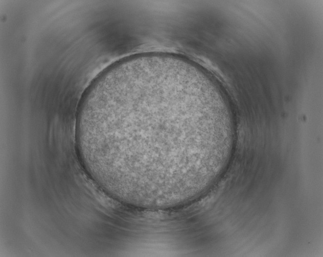 X0000088391220200706191324