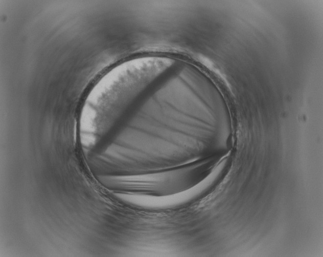 X0000088391221200706191324