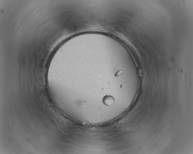 X0000088391222200706191324