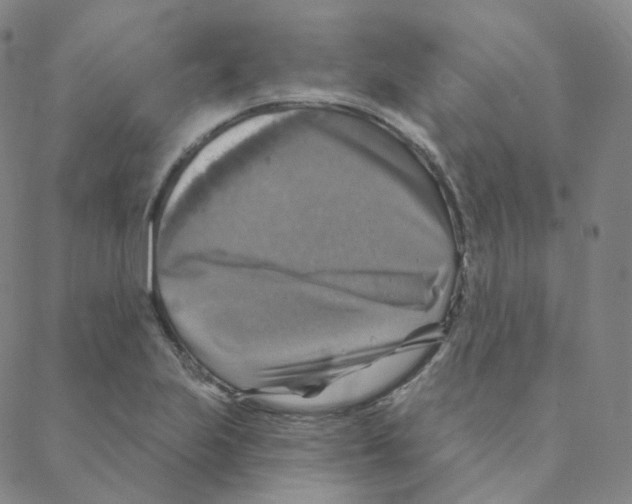 X0000088391223200706191324