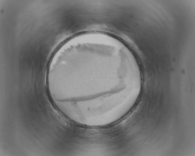 X0000088391224200706191324