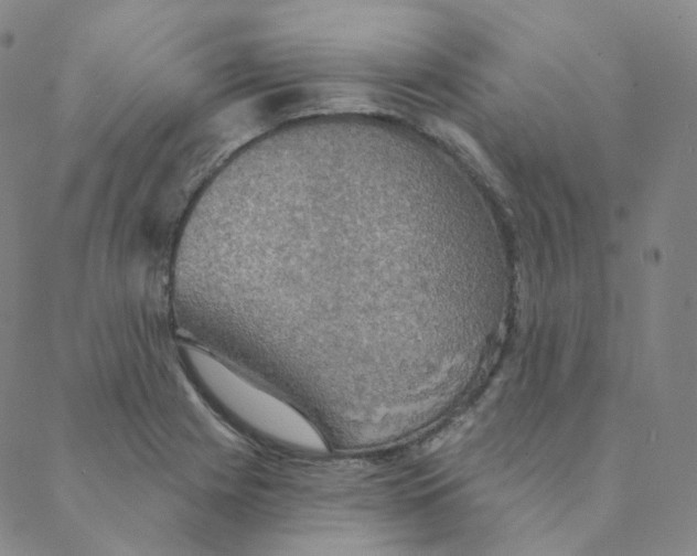 X0000088391225200706191324