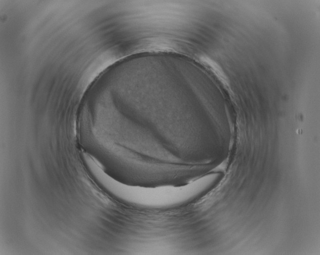 X0000088391226200706191324