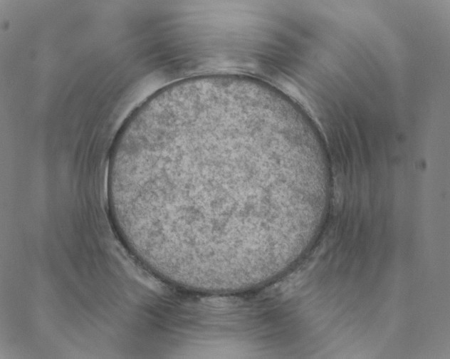 X0000088391227200706191324