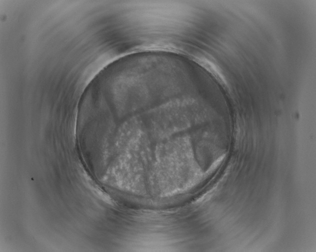 X0000088391228200706191324