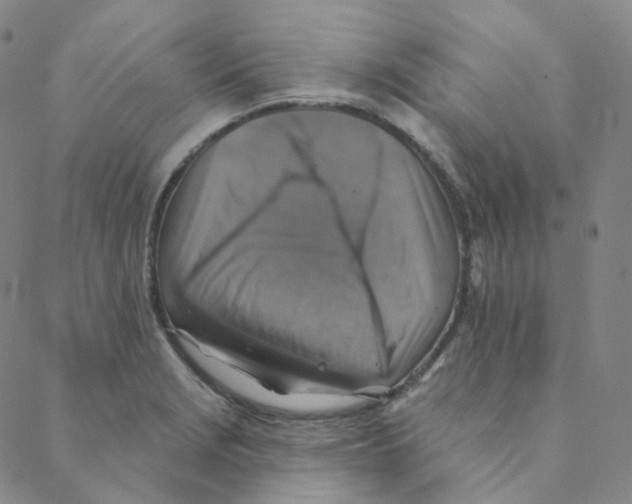 X0000088391229200706191324