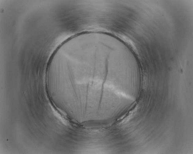 X0000088391231200706191324