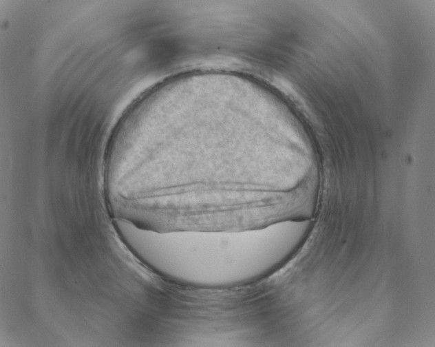 X0000088391232200706191324